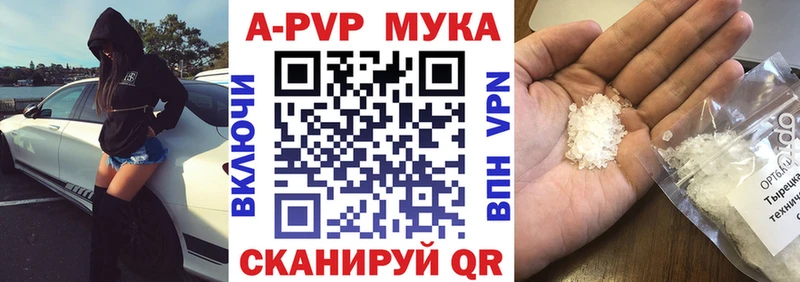 blacksprut ссылка  Шахунья  А ПВП СК КРИС 