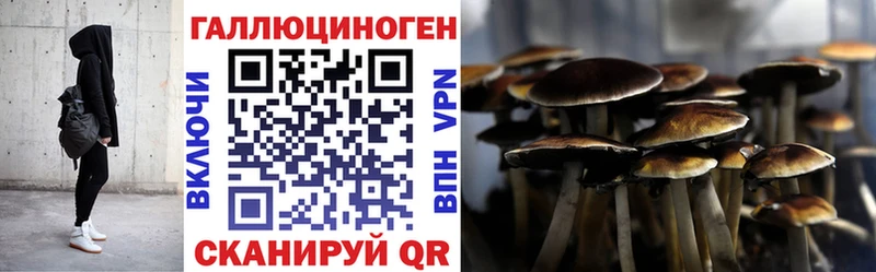 hydra зеркало  Шахунья  Галлюциногенные грибы Magic Shrooms 